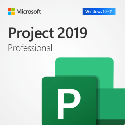 Microsoft Project 2019 Professional
